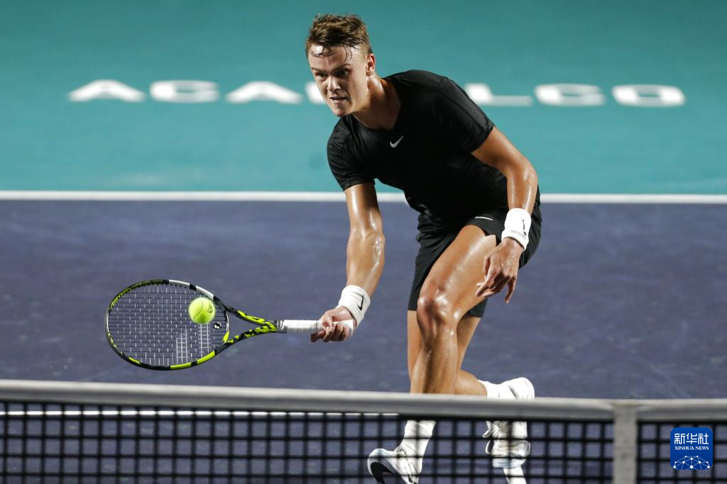 夫聊发少年 夫聊发少年