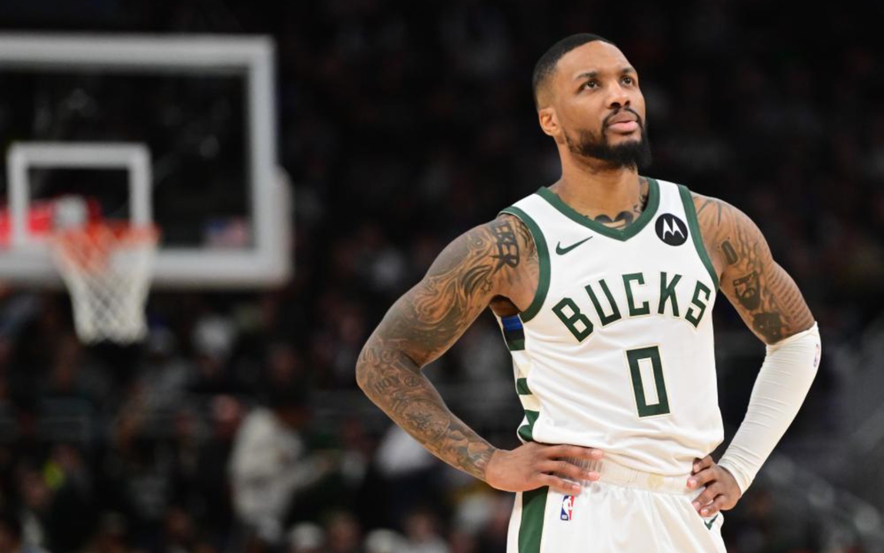 未来奠定了 未来奠定了